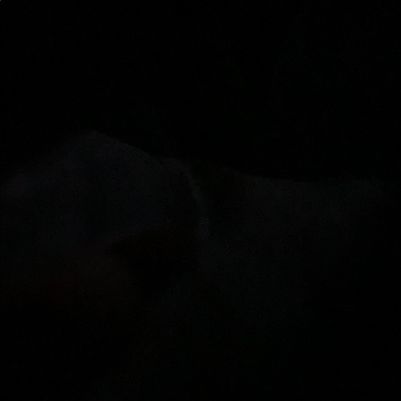 Meet your Posher, Nicolr - Picture 1 of 1